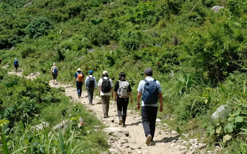 Minh họa: Hiking là gì? hoạt động đi bộ đường dài khám phá thiên nhiên ngắn hạn